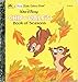 Chip 'n' Dale's Book of Seasons (A First Little Golden Book)