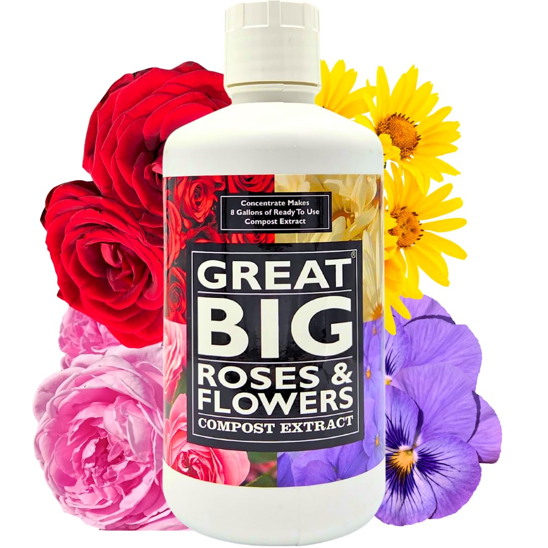 Great Big Roses Fertilizer Booster