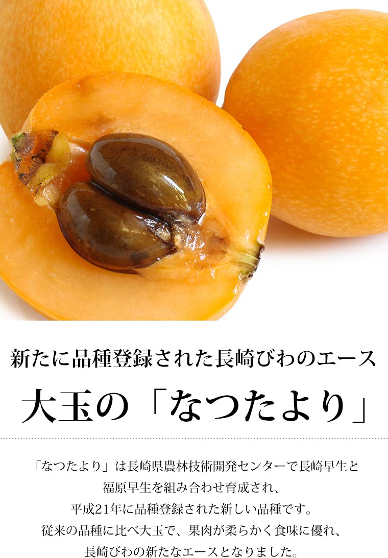 Amazon.co.jp: びわ なつたより 長崎びわ 4パック 12～16粒 露地栽培