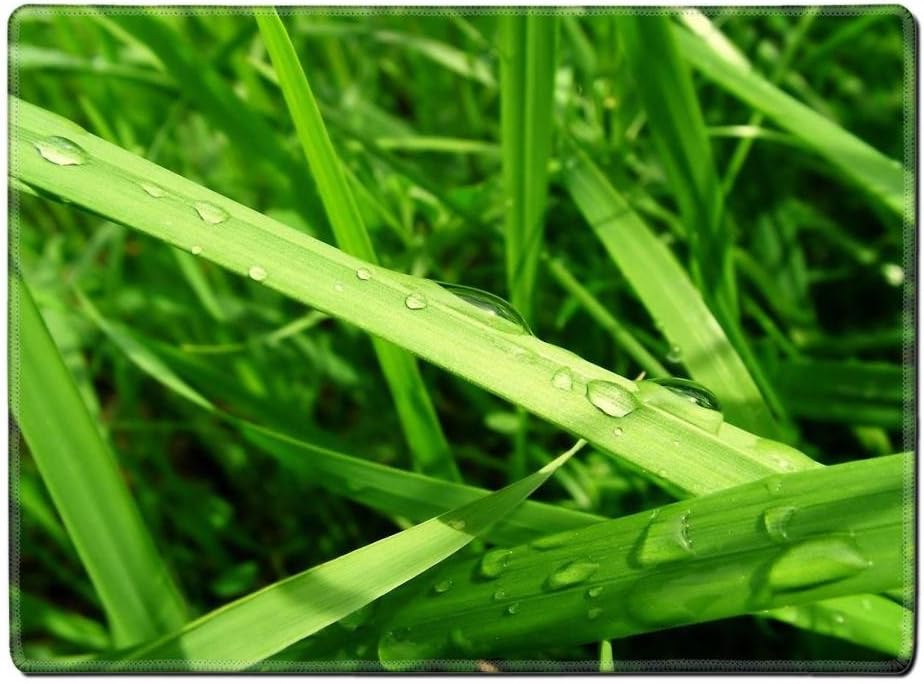 DiamondStar1234 Dew on the grass Placemat Pads Customized Made To Order Support Ready High Quality Eco Friendly Cloth With Neoprene Rubber 15 6/8 Inch (400mm) X 11 13/16 Inch (300mm) X 1/8 Inch (3mm)