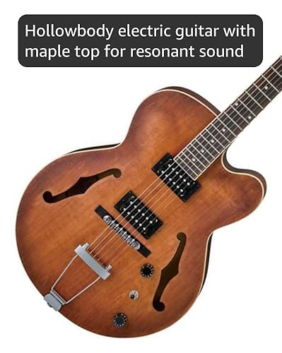 Amazon.com: Ibanez Artcore AF55 Hollowbody Electric Guitar