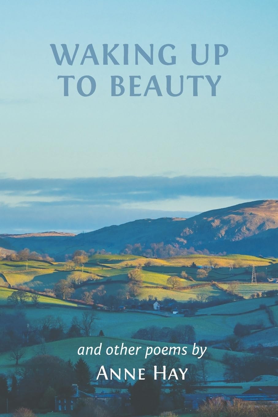 Buy Waking Up to Beauty — BookShops.in