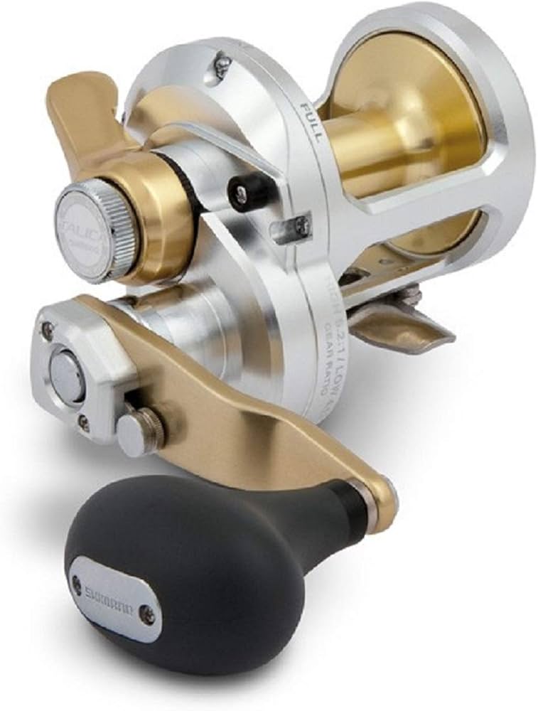 Amazon.com : Rapala TALICA 20II : Fishing Reels : Sports