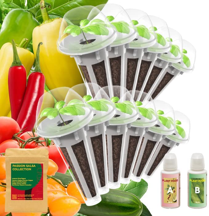 Snapklik.com : Seed Starter Pod Kit Plant For Idoo, Ahopegarden, And ...