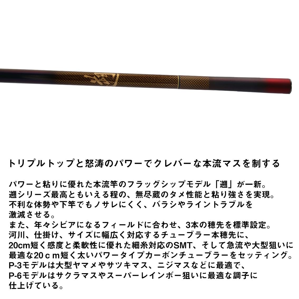 Amazon | ダイワ(DAIWA) 大物用本流竿 遡 P-10 85 | ダイワ(DAIWA 