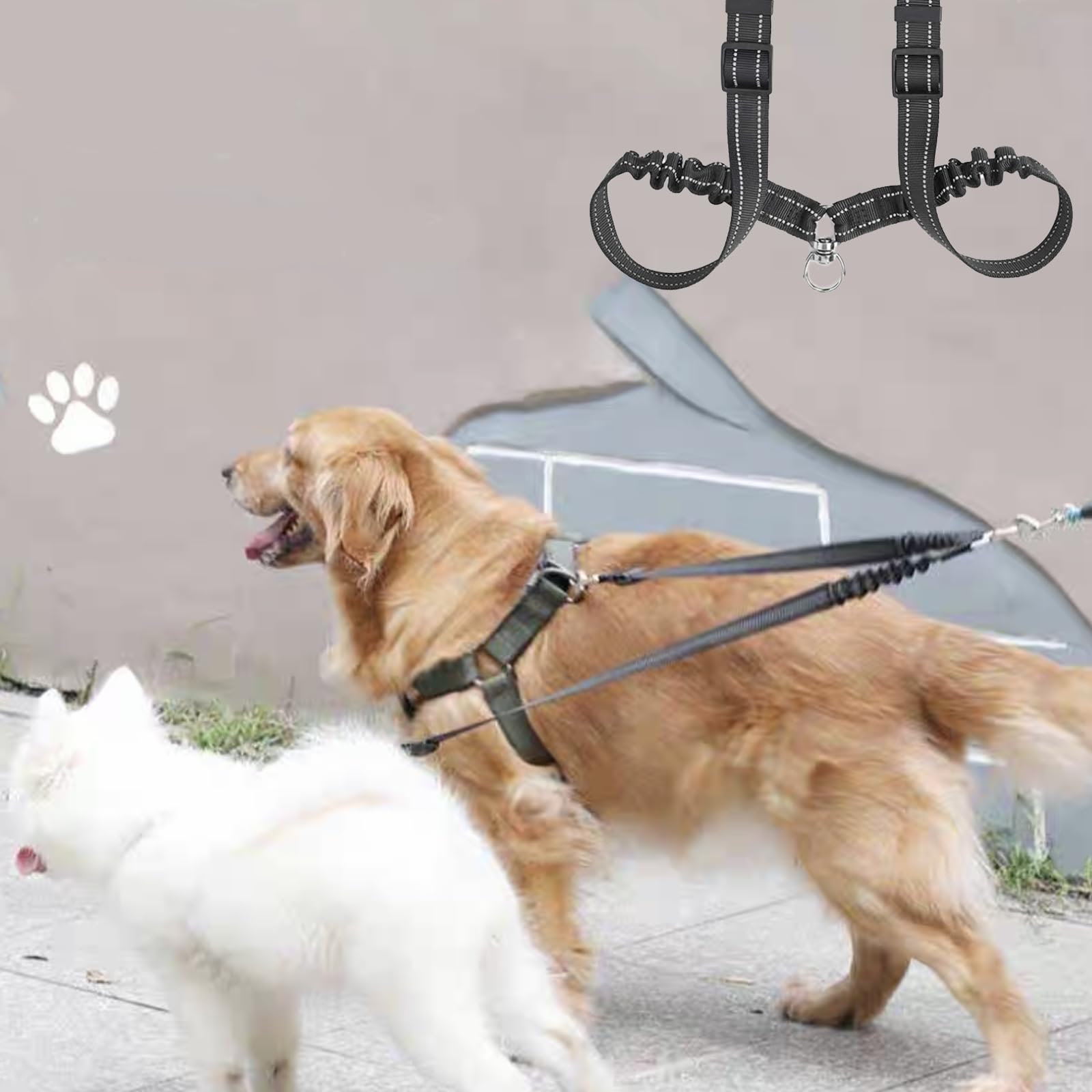 Guinzaglio Doppio Per 2 Cani - Anti-Groviglio 360°, Riflettente, 70cm Con Ammortizzatore - Foto 2