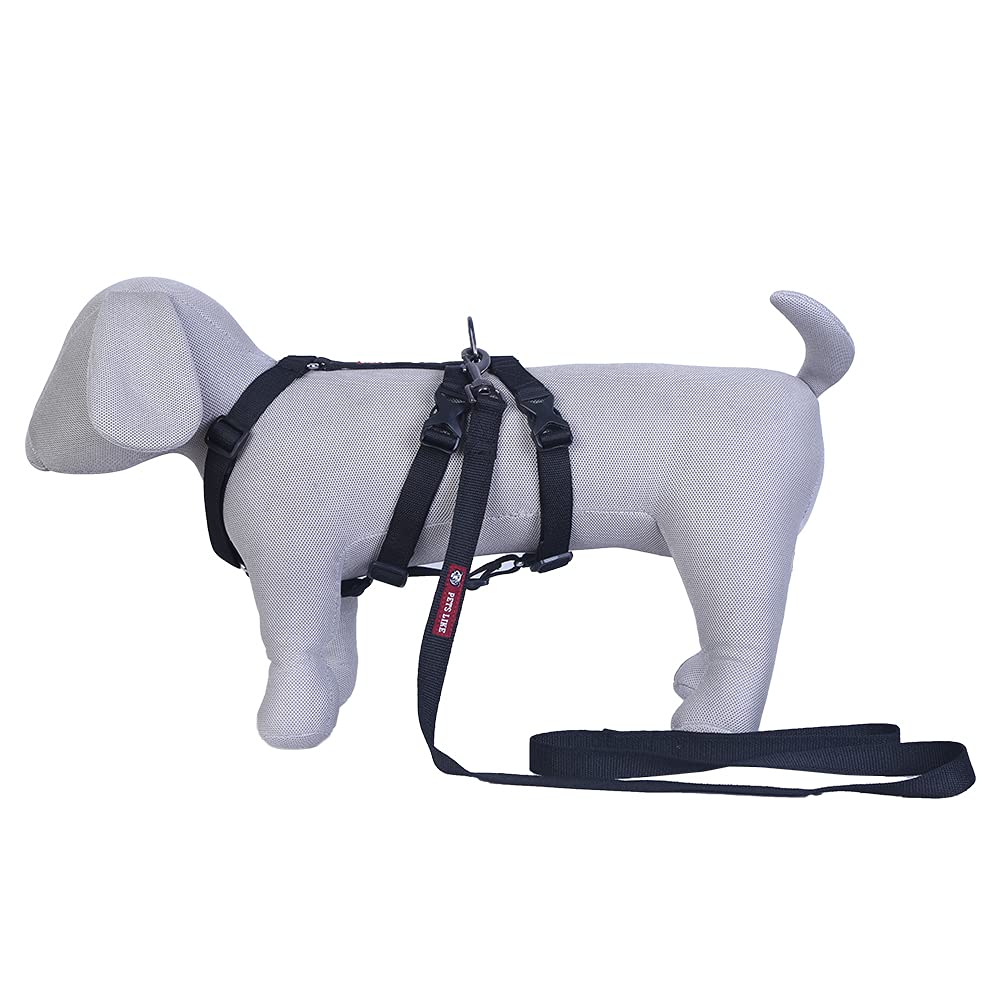 Pets Like Double H Harness with Leash Set Black (Medium) (B09D36FN42) Amazon Price History, Amazon Price Tracker