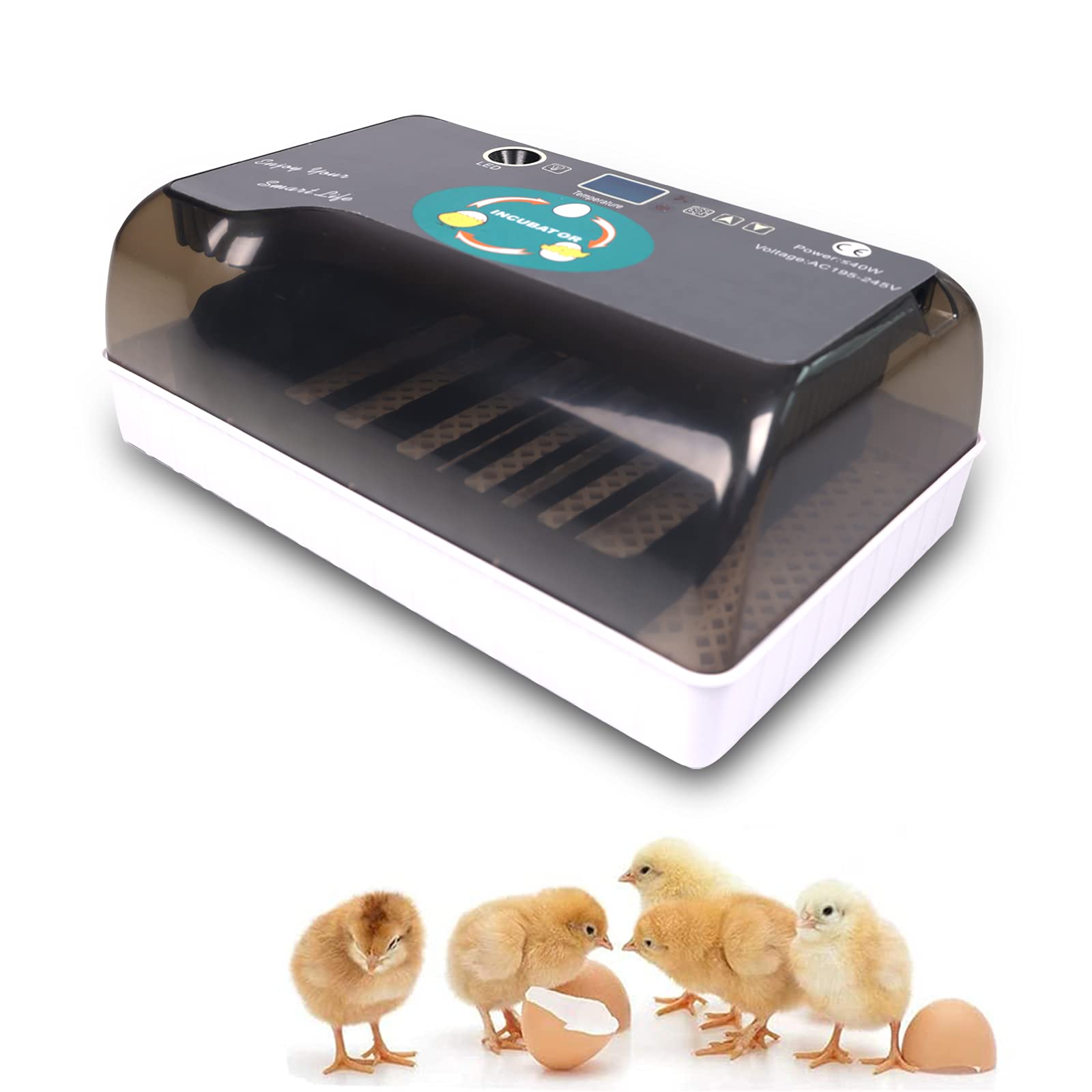Buy DADO DIDO 12 Eggs Incubator, with Egg Light and Automatic Egg