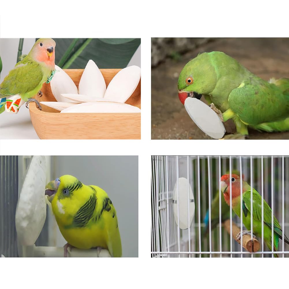 Ossi Di Seppia Naturali Per Uccelli E Tartarughe - 8 Pezzi, Fonte Di Calcio, Giocattoli Da Masticare