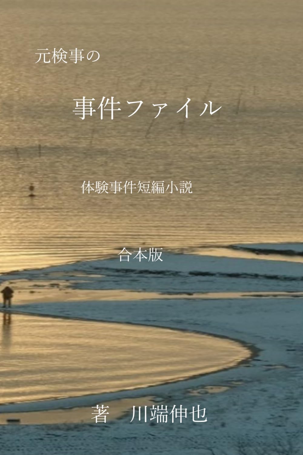 元検事の事件ファイル３: 体験事件短編小説