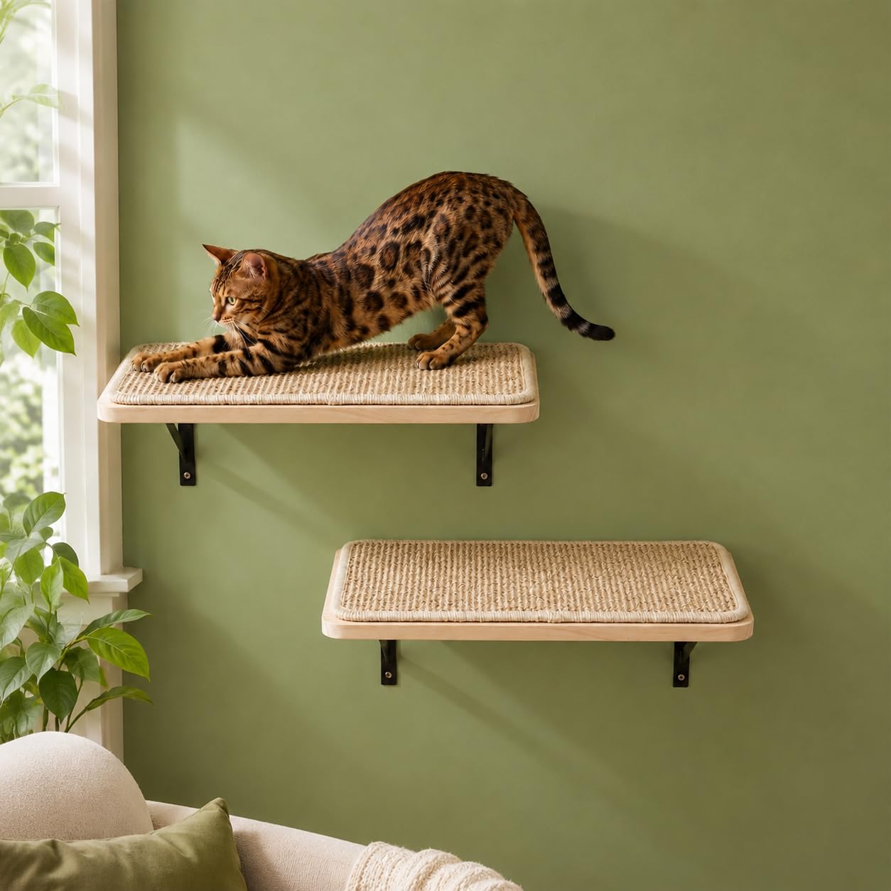 2PCS Cat Wall Shelves with Scratching Mat, 16.6x9.7 Inch Solid Pine Wood Wall Mounted Kitten Floating Shelf, Window Perch Hammock, Cats Wall Furniture for Cats Sleeping, Playing, Climbing