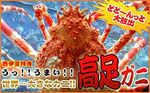 Amazon ｆｃｓjapan 世界一大きい蟹 活高足ガニ 1 6 2 0ｋｇ ｆｃｓjapan カニ 通販
