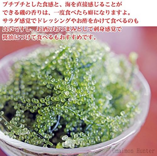 沖縄おつまみ 島らっきょう・海ぶどう 詰め合わせ×1箱 大幸商事 いつでもどこでも うちな~おつまみをどうぞ