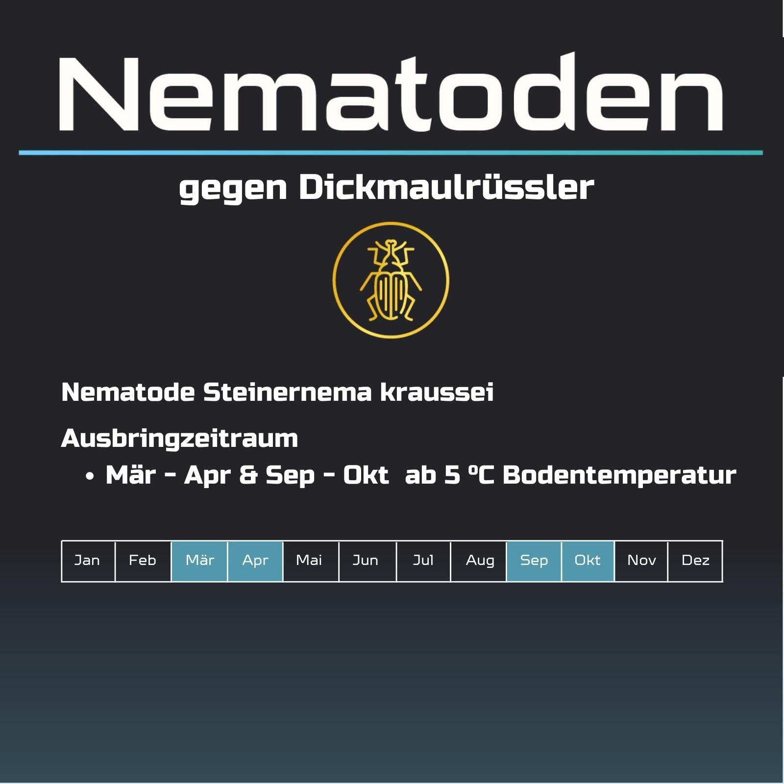 HB Nematoden 50 Mio für 100 m² Biologische Schädlingsbekämpfung gegen Dickmaulrüssler, Gartenlaubkäfer & Junikäfer