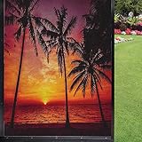 Tropical Frosted Window Film Privacy Window Film,Sunset Tropical Beach with Palm Trees Peaceful Ocea