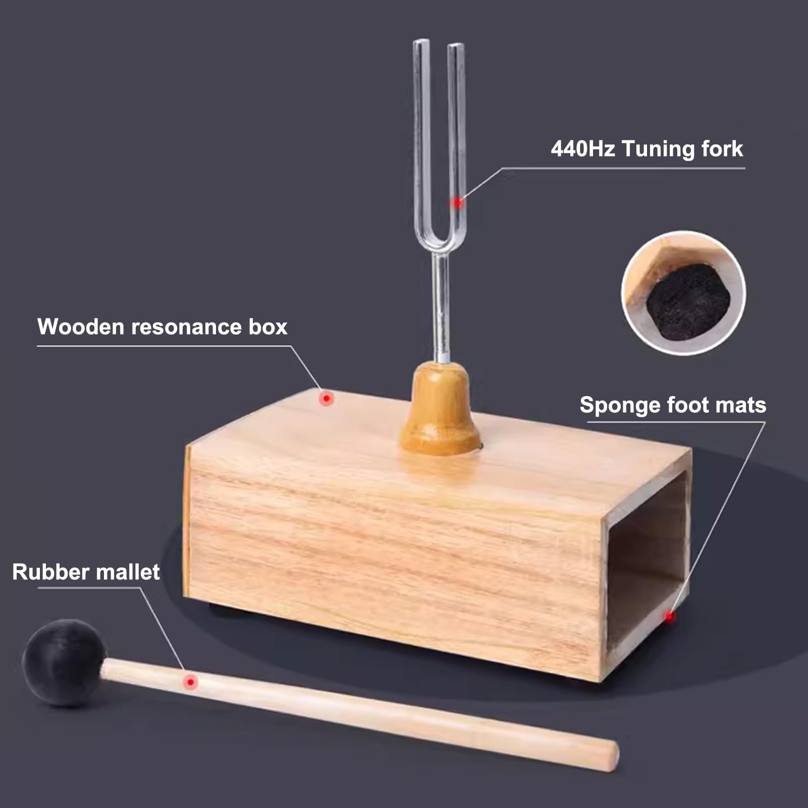 2 pezzi diapason con scatola di risonanza in legno, strumento sperimentale di vibrazione 440HZ con 1 pezzo di diapason battente