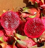 Pitahaya Púrpura, Caja de 2kg, Fruta fresca producción local y sostenible Castellón (España), Comprar Pitaya Rosa o Fruta del Dragón, Del agricultor a casa, Recolección bajo pedido