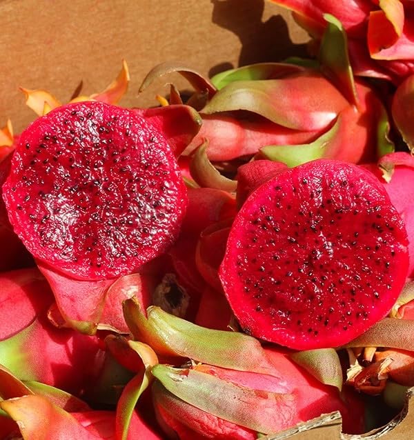 Pitahaya Púrpura 2kg Fruta Fresca Producción Local Castellón España Pitaya Rosa Fruta del Dragón
