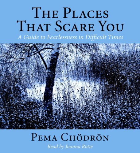The Places That Scare You: A Guide to Fearlessness in Difficult Times Chodron, Pema and Rotte, Joanna