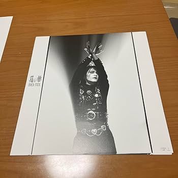 BUCK-TICK　　　ツアーパンフレット Amazon.co.jp: BUCK-TICK 悪の華 ツアーパンフレット おまけ付き