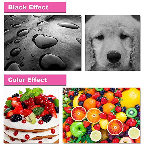 Tinta Y Tóner, Office Product Imagen adicional