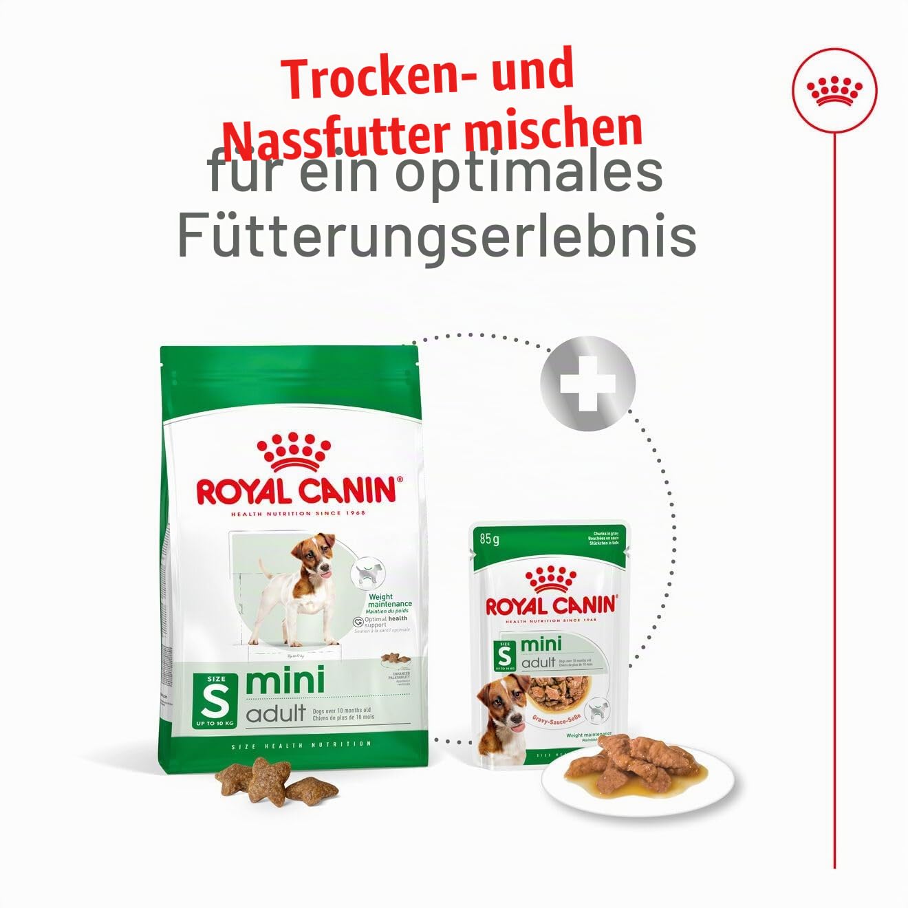 Royal Canin Mini Adult en Salsa | Pack de 4 | 4 x 12 x 85 g | Comida húmeda para Perros pequeños Adultos (de 1 a 10 kg) | De 10 Meses a 12 años | Contenido energético Ajustado