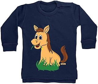 Amazon Fr Pulls Et Gilets Bebe Garcon Hariz Pulls Et Gilets Bebe Garcon 0 24m Vetements