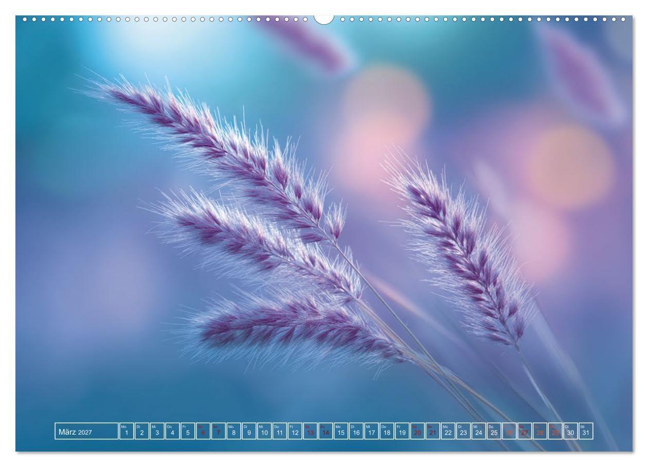 Lichtspiele der Natur (hochwertiger Premium Wandkalender 2027 DIN A2 quer), Kunstdruck in Hochglanz: Blätter, Blüten, Gräser, Natur, Stimmung und Naturästhetik (CALVENDO Natur)