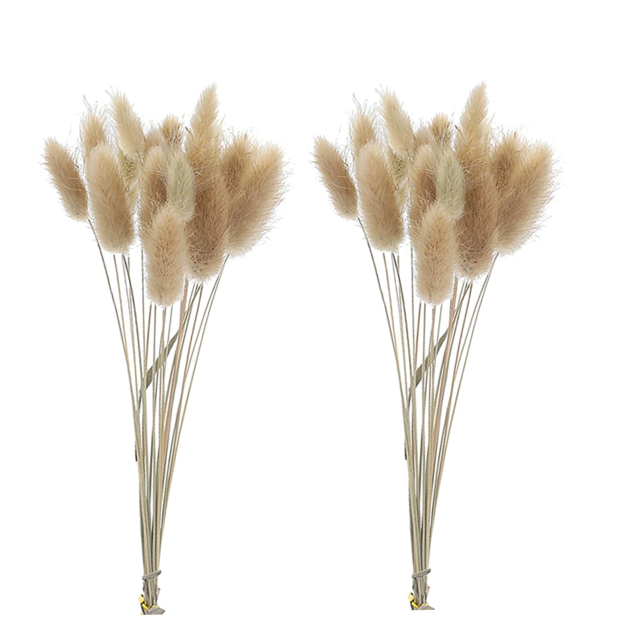 Abaodam 3pezzi Mazzi Di Fiori Secchi Pennisetum e Coniglio Per Decorazioni Naturali Bouquet Di Grano Per Casa e Matrimonio Decorazioni Per Ambienti Boho e Rurali