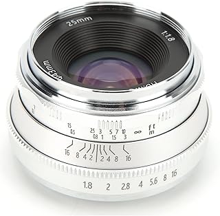 Goshyda 25mm F1.8 Manual Prime Lens, 5 Elements in 3 Groups 57.4° Viewing Angle Half Frame/APS-C Manual Focus Lens for M4/3 Mount for E‑M10 E‑PL9 GF9 GF10