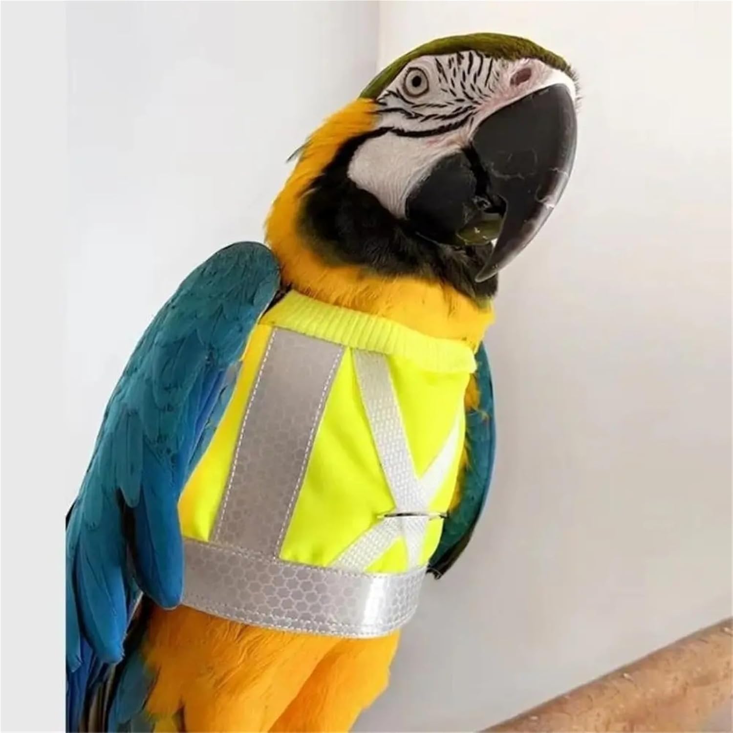 Bird Leash 6 Pcs Safety Parrot Flying Harness Adjustable Comfortable Reflective Leashes Sun Protection Flight Training Rope Pet Bird(Large)