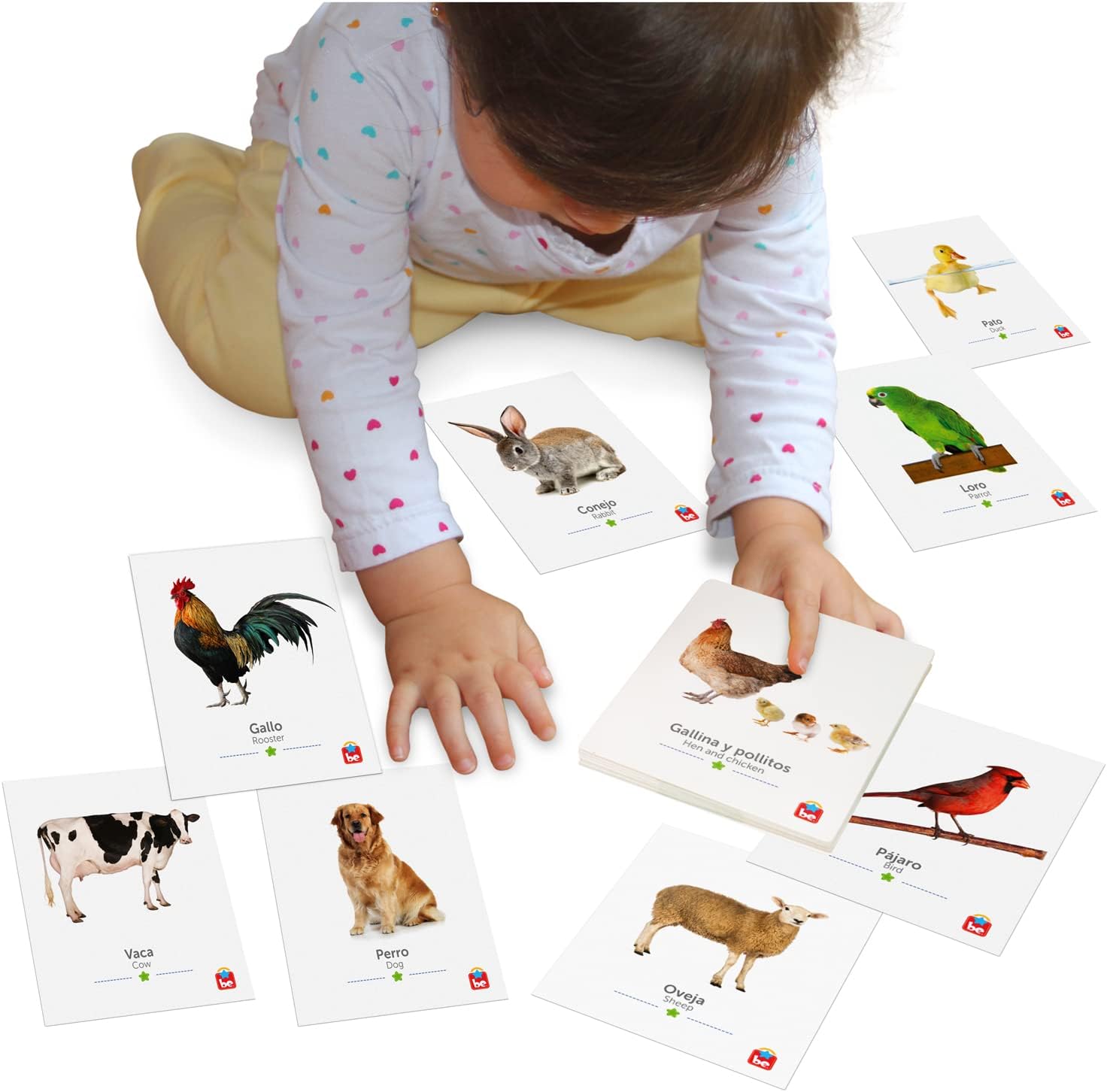 Tool-be Animal Cards. 18 Real Photos of Farm Animals. Spanish-English-Portuguese Flash Cards for Babies 6-12 Months, Montessori Toys for 1+ Year Old, Baby Flash Cards 12 to 18 Months, up to 6Y Tool-be Animal Cards. 18 Real Photos of Farm Animals. Spanish-English-Portuguese Flash Cards for Babies 6-12 Months, Montessori Toys for 1+ Year Old, Baby Flash Cards 12 to 18 Months, up to 6Y