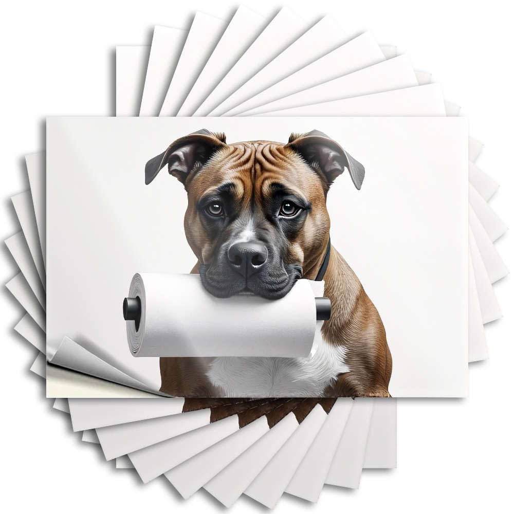Fzfn Colour Encouragement Funny Sticker, Patio Decorations Cover A Dog Holding A Roll Of Toilet Paper. | Funny Quote Friends Decals(6X9cm)