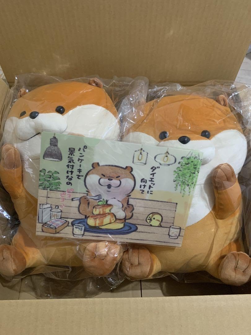 Amazon.co.jp: 可愛い嘘のカワウソ もちっと大きめぬいぐるみ : おもちゃ