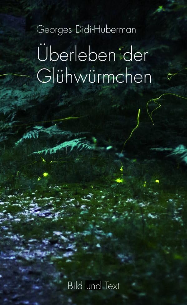 Überleben der Glühwürmchen: Eine Politik des Nachlebens (Bild und Text)