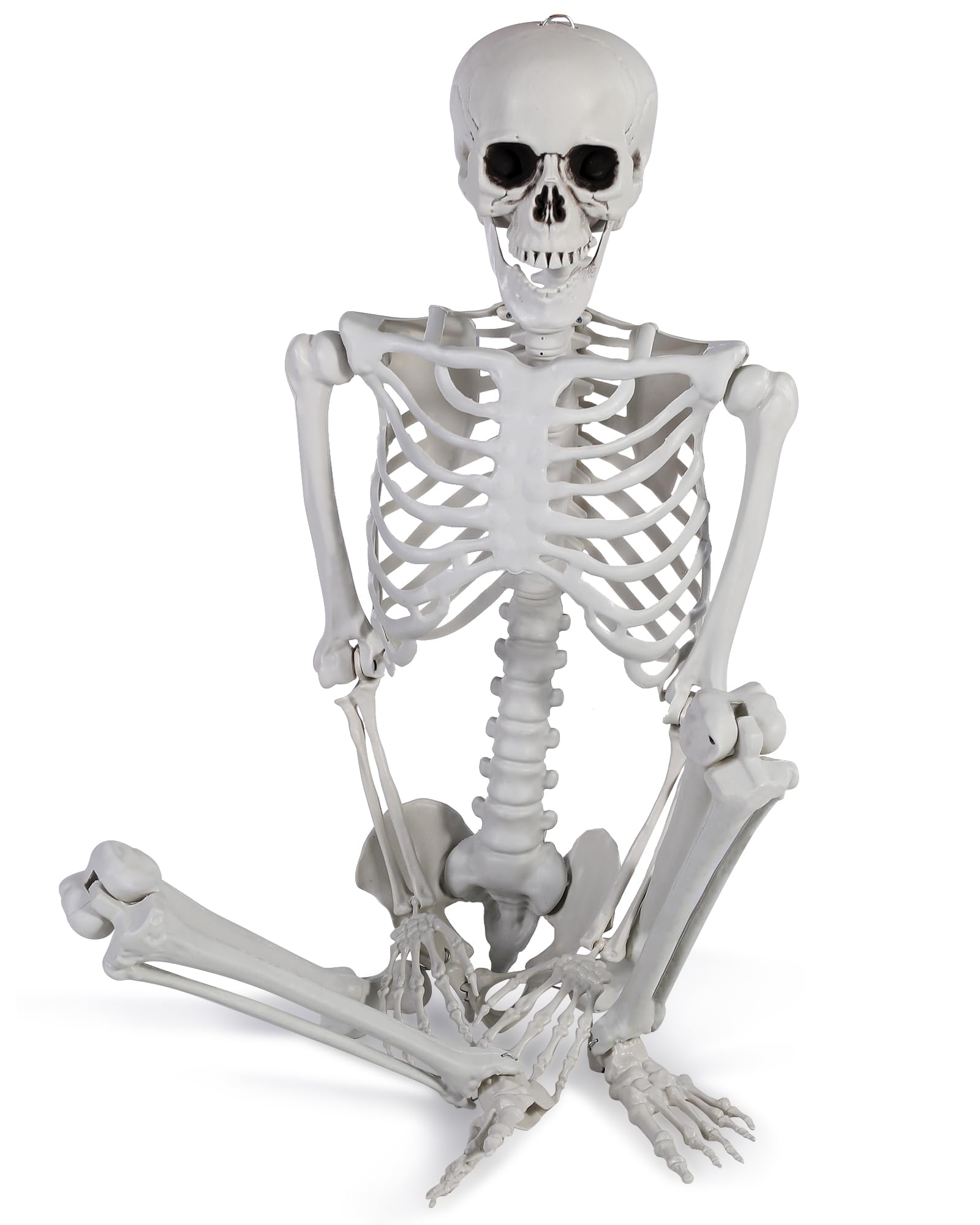5.4ft Life-Size Halloween Skeleton with Movable Joints - Durable and Realistic Prop for Indoor and Outdoor Halloween Decor (Skeleton)
