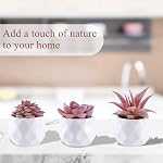 6 Pack Suculents artificiels Petit succulent faux en pots, Assortiment décoratif Faux rose Suculant Poté,Mini Faux Poté Suculente Décor pour Table Décor, Salle de bains, Décor de bureau