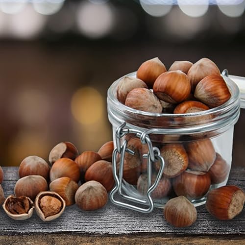 Miniatura 9 de Presto Sales Avellanas Filberts sin procesar 160 onzas sin OMG bocadillo natural saludable  Apto para cetopaleo  Ideal para todas las edades  Oregón