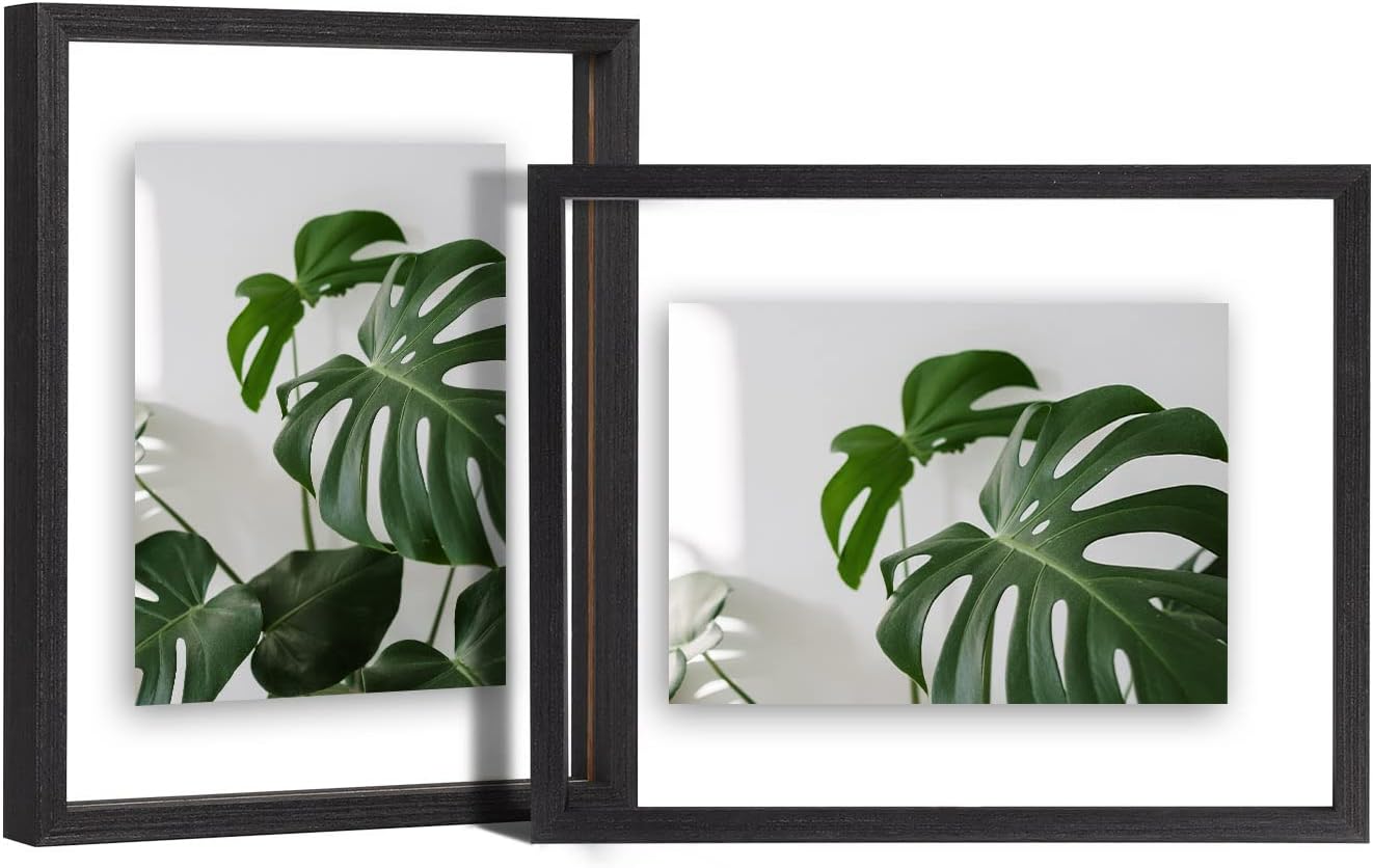 Egofine 8x10 Floating Frames Set of 2, Double Glass Picture