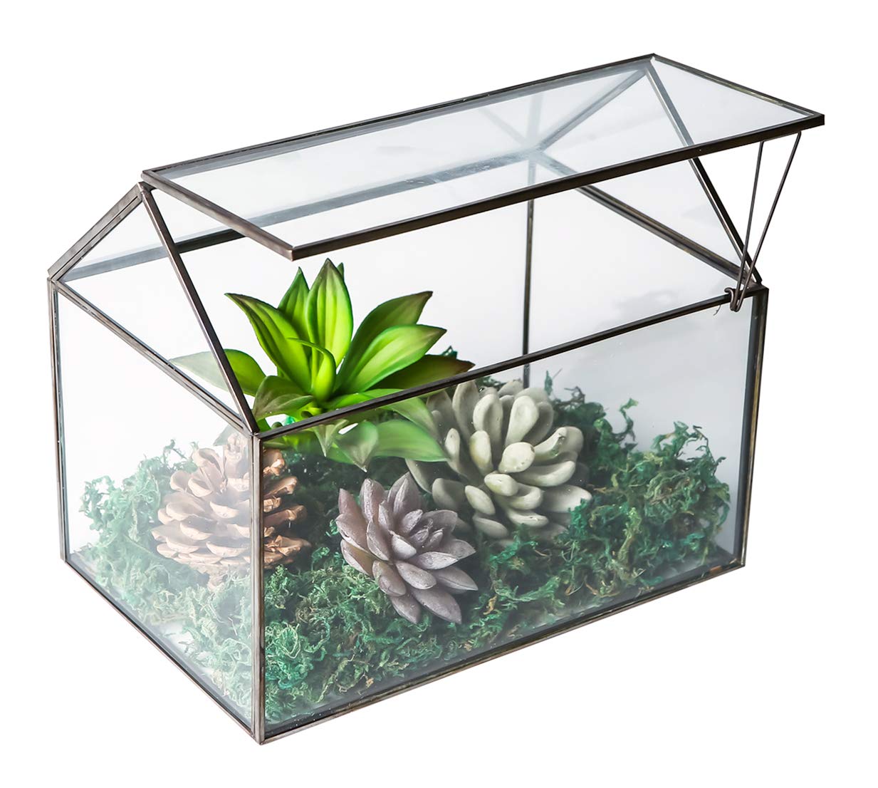 WONSUN House Shape Close Glass Geometric Terrarium Tabletop Succulent Plant House Garden Geo Planter Moss Fern Swing Lid Reptile, Flower Pot for Plants Succulent, Air Plant (Black)
