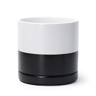 D'vine Dev 8.2 Inch Ceramic Planter Pot, Black White Two Tone, 94-O-D-L