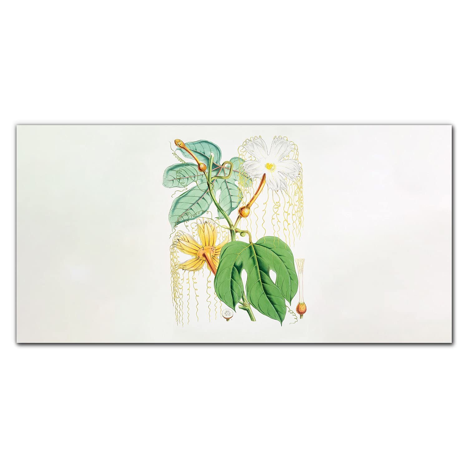 Crédence de cuisine en verre trempé 120x60 cm fleurs pour habiller votre mur