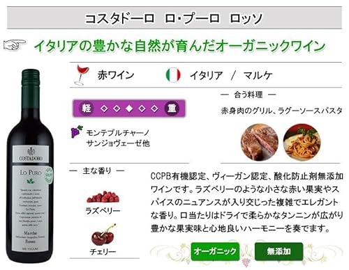 神田商店 サン・スフル 赤ワイン3本セット