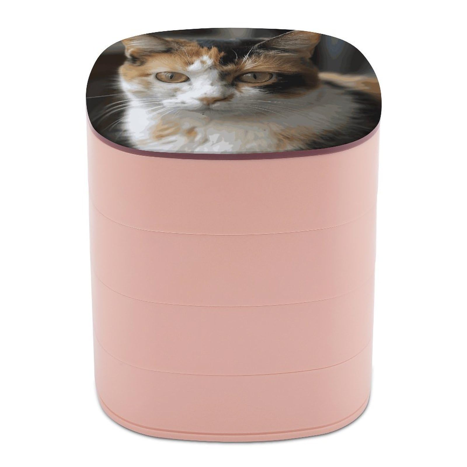 VstaDank 360° Rotating A Cat Jewelry Box, Multi-Layer Large Capacity Jewelry Organizer for Earrings Necklaces Rings, Dustproof Desktop Storage Case for Women