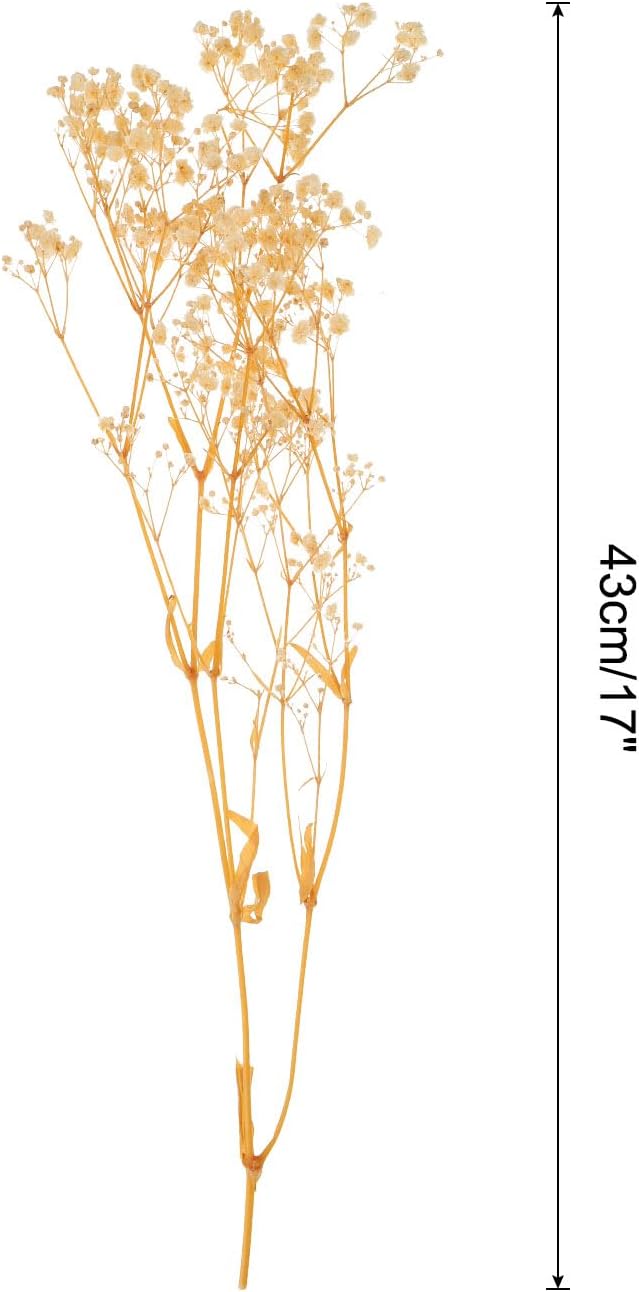 MECCANIXITY Dried Baby's Breath Flowers 17 Inch Light Yellow Natural Baby's Breath Branches for Wedding Party Home Decoration 2 Pcs