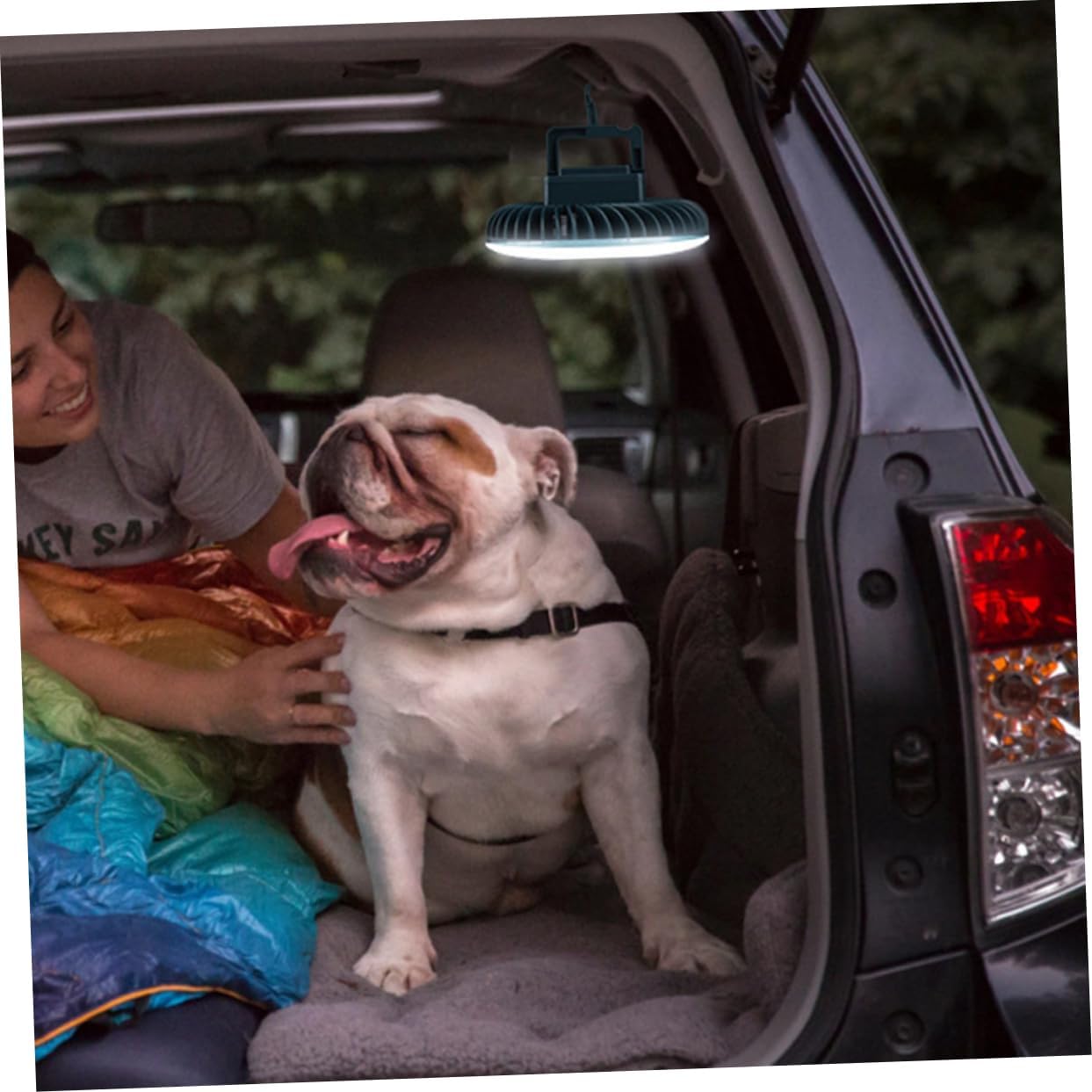 BESPORTBLE USB Charging Tent Camping Light and Fan with Hanging Hook Portable Led Lamp for Outdoor Use Multi-Function Battery Operated Lighting for Tents Travel and Emergencies