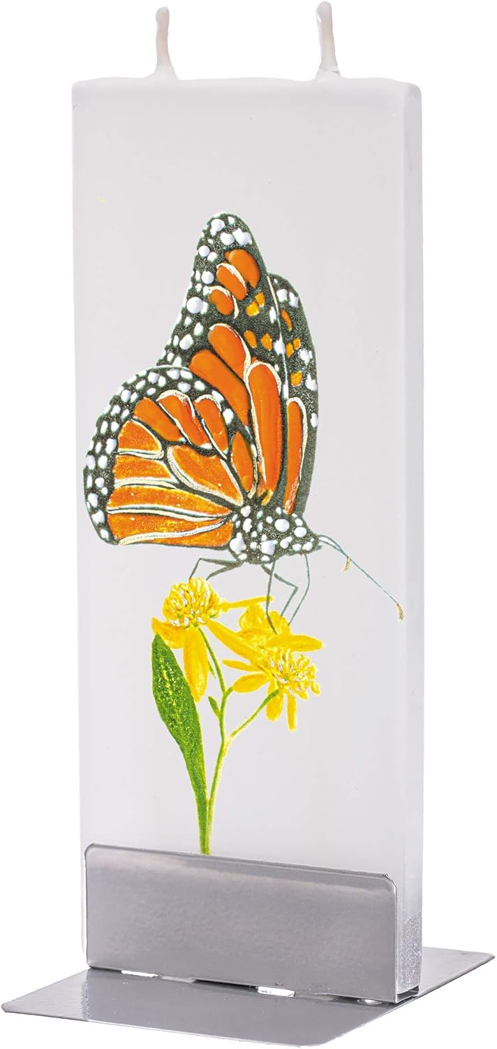 尺八用ハードケース 10本収納 中古未使用美品 尺八 ハードケース 10本