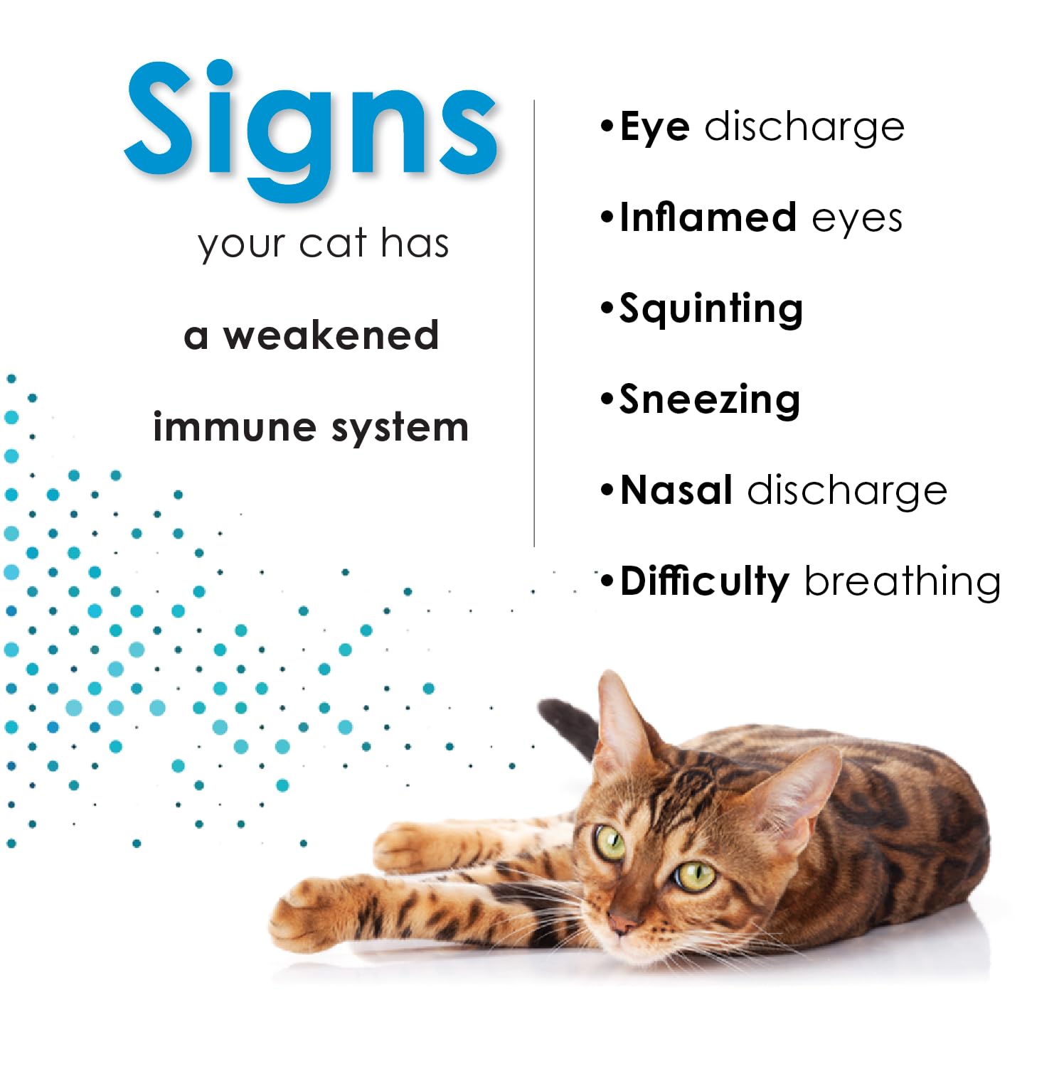 Felisyl L-Lysine for Cats, Feline Immune Support Liquid Concentrate, Chicken Flavor, Supports Immune System & Respiratory Health, Made in USA, 2 fl oz — Amazon image 2