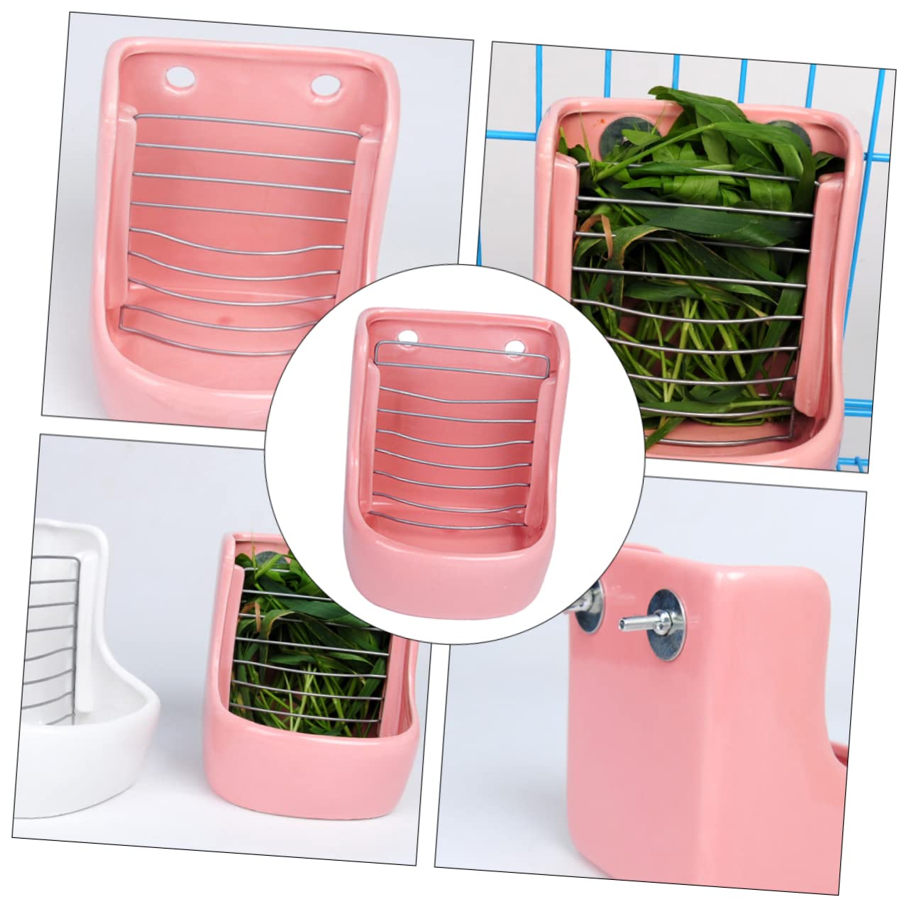 COLLBATH 1pièce Râtelier à Herbe Et Bol Alimentaire Céramique pour Rongeurs Support Suspendu Pratique pour Et Chinchillas Rose