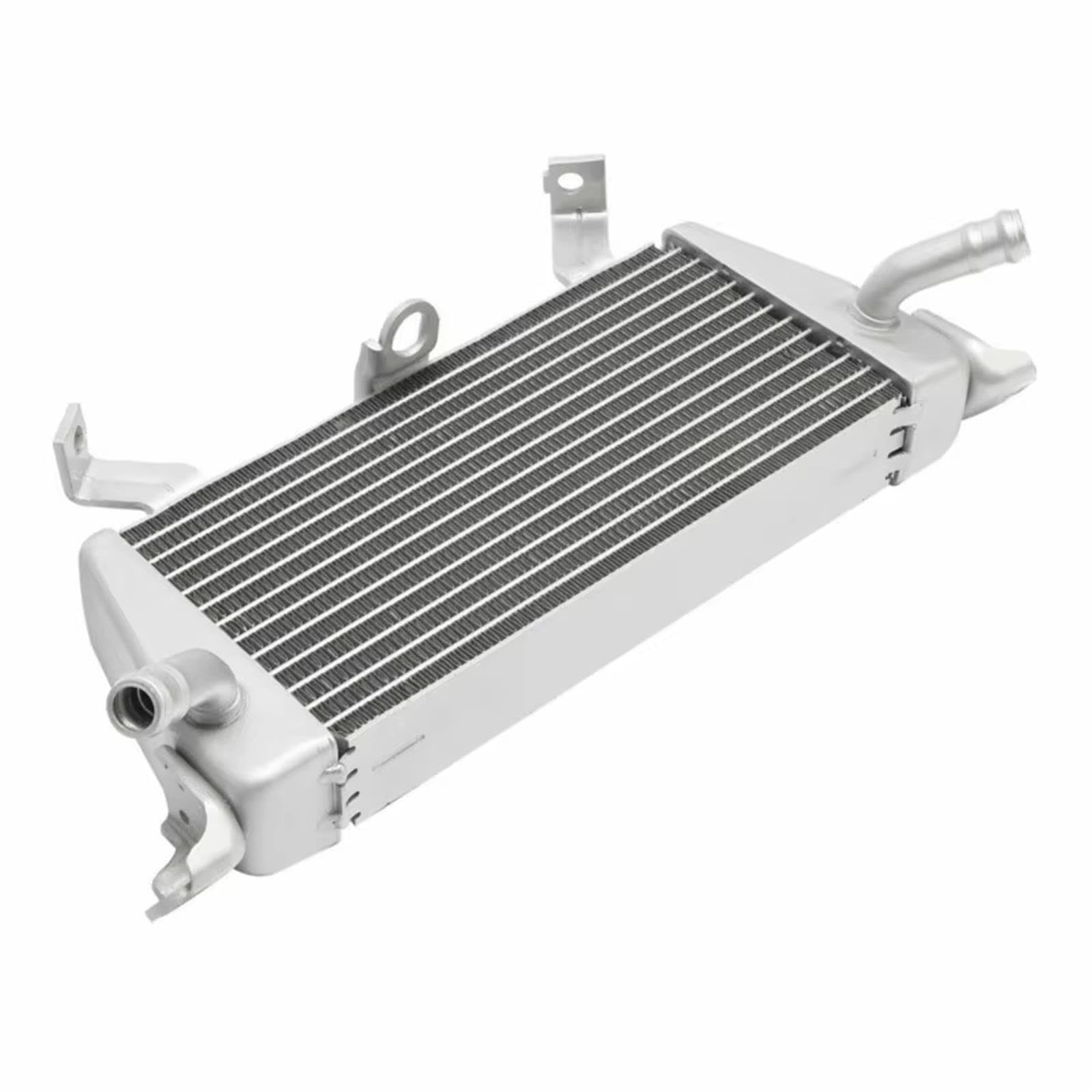 Serbatoio Espansione Liquido Raffreddamento Moto Per M1000R